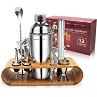 AYAOQIANG Juego de coctelera- Juego de Mezcla de cóctel de Acero Inoxidable de 750 ml- Kit de Camarero con Soporte de…